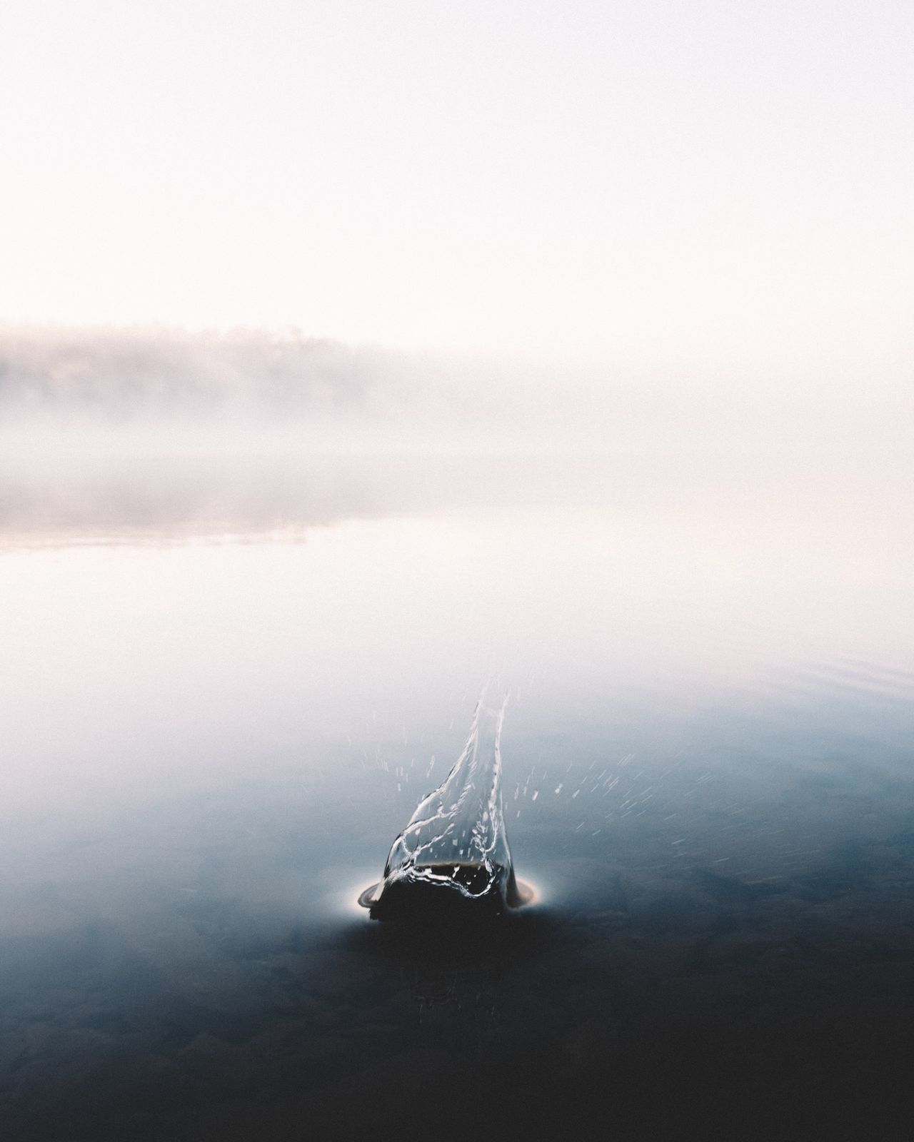 Sous la surface