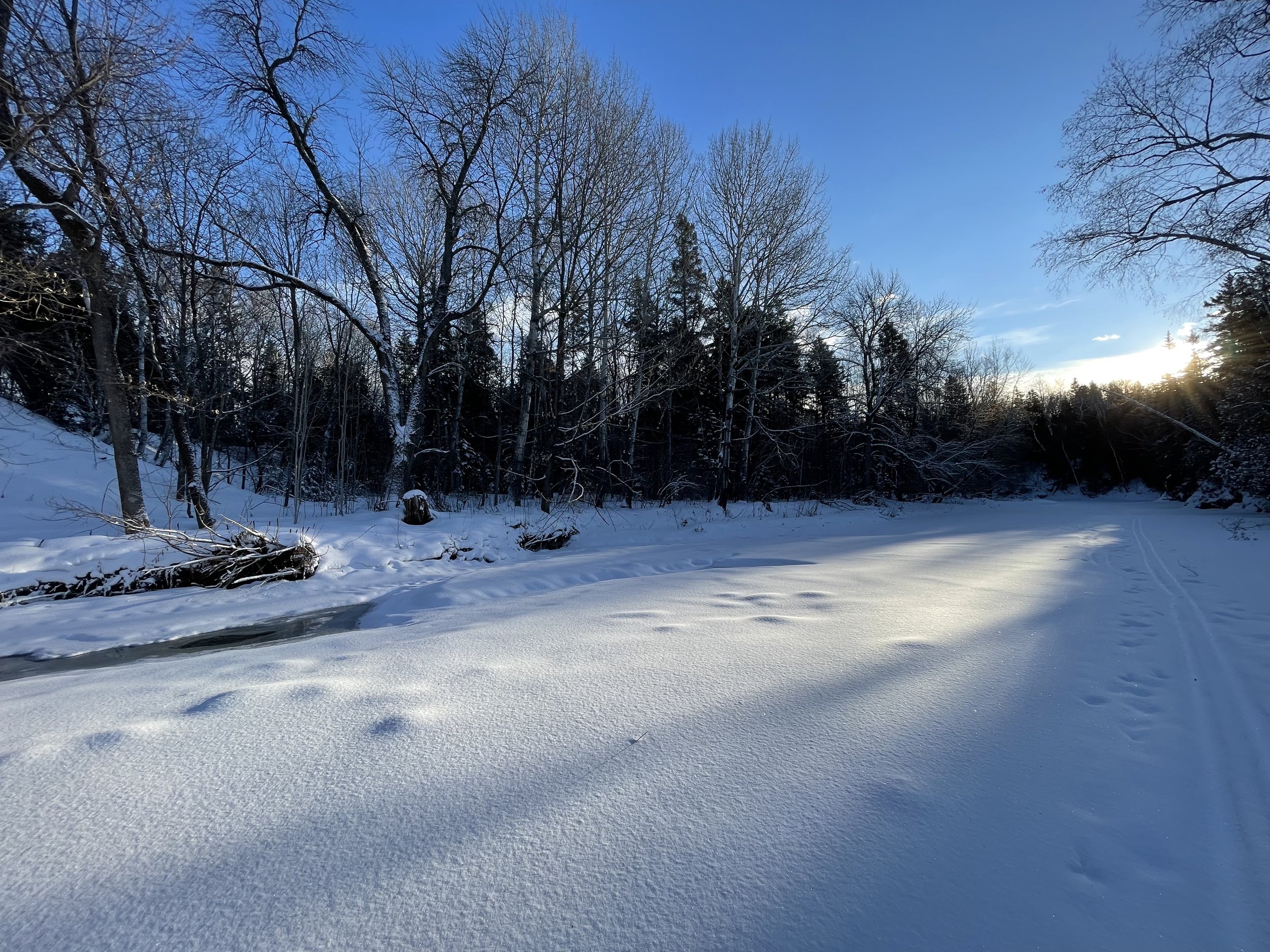 Immunité et bienveillance: préparer la saison froide