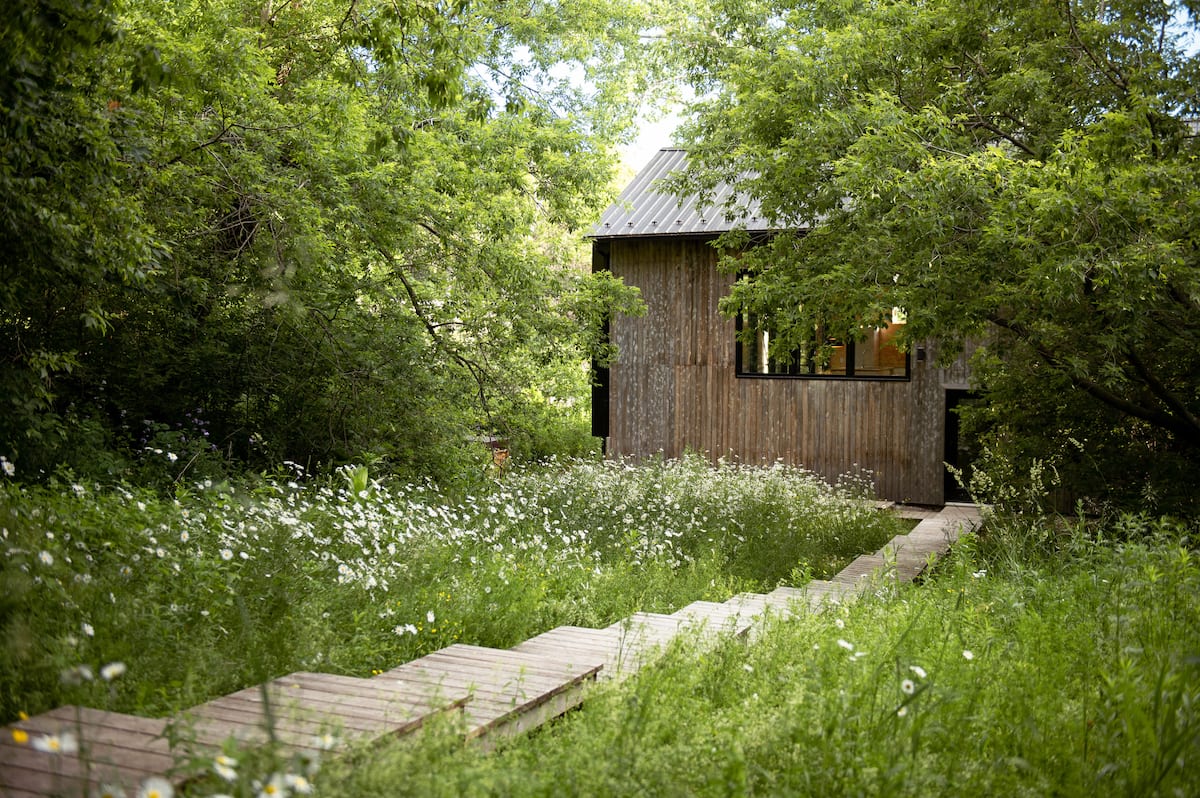 Vue sur le fleuve Saint-Laurent